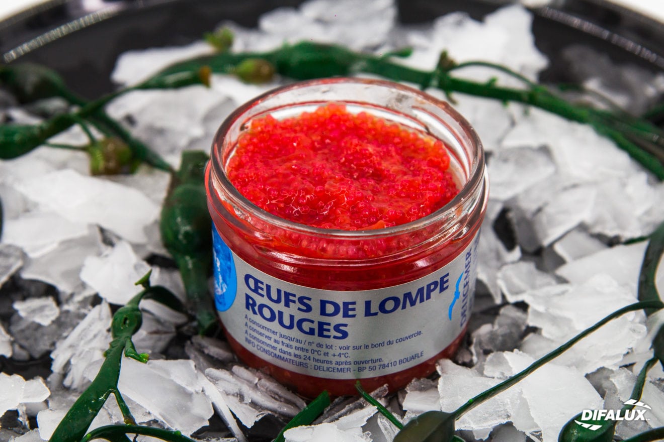 Œufs de lompe rouges – Difalux Namur