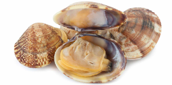 Par sac de 1 kg